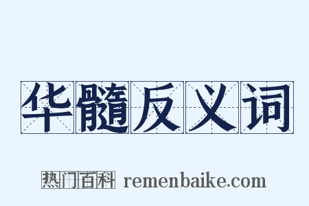 华髓反义词是什么意思的图片